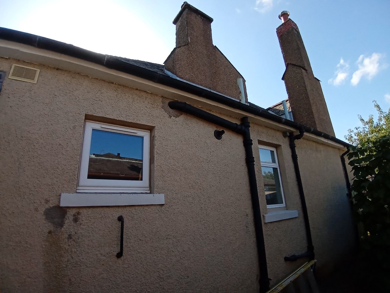 roughcast render Edinburgh on a house with plants around the entrance