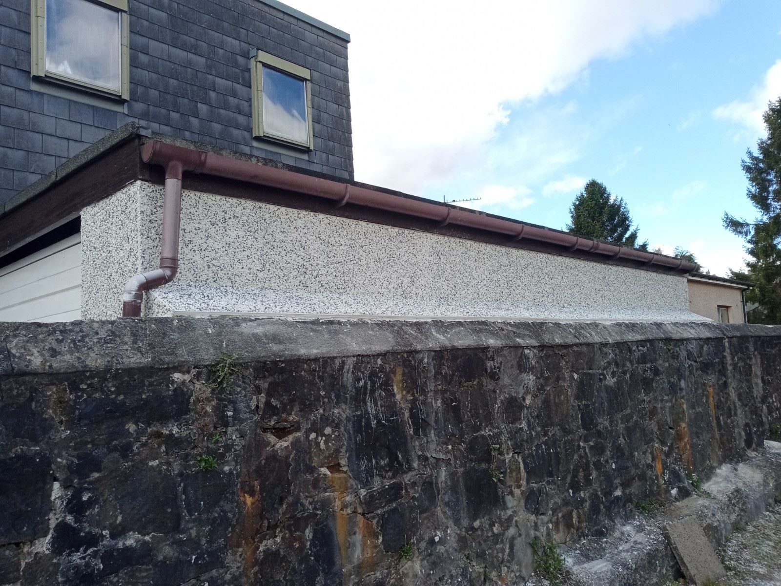 back wall protection roughcast render repair