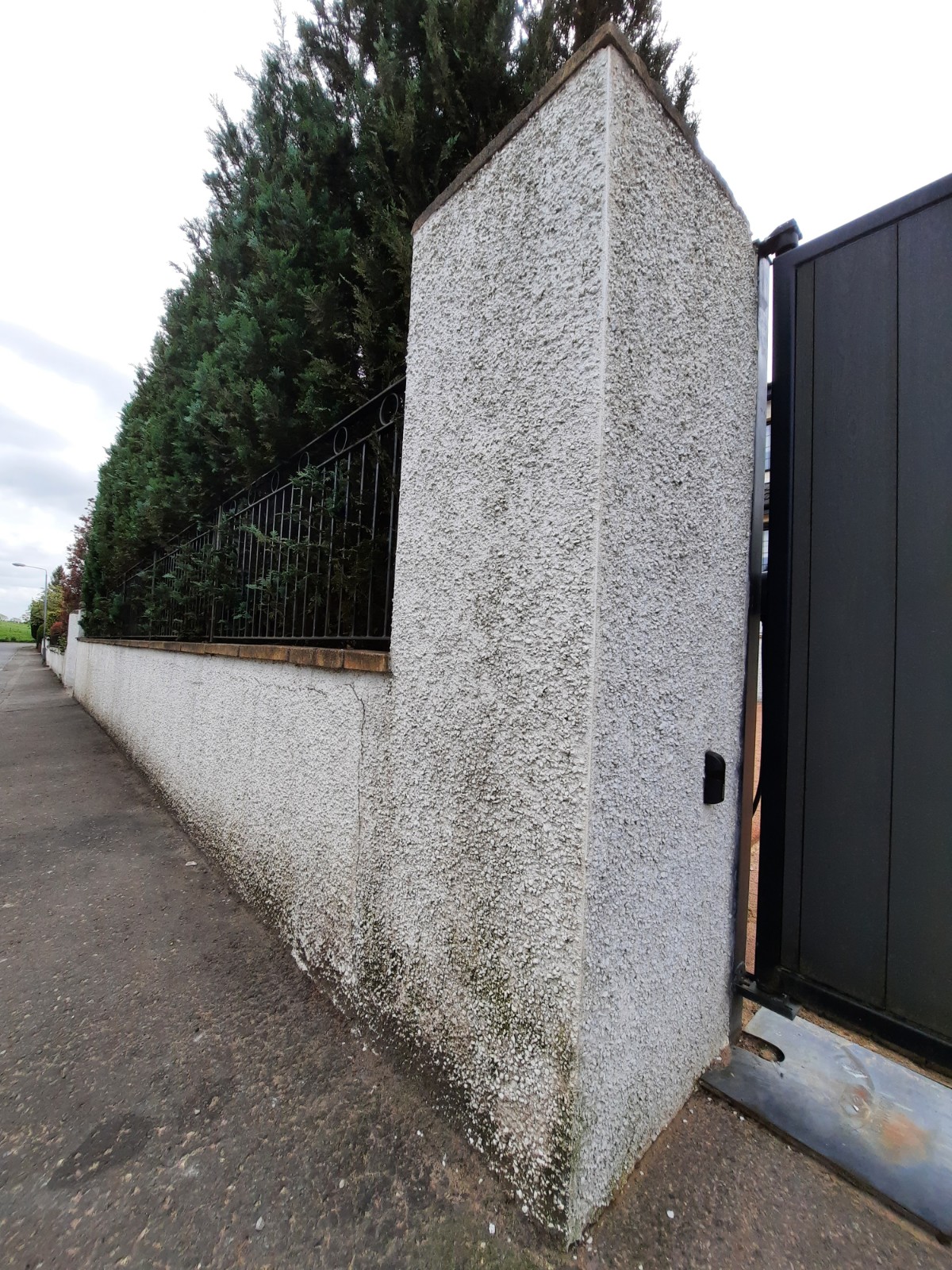 solid wall insulation Edinburgh on long rendered boundary beside trees