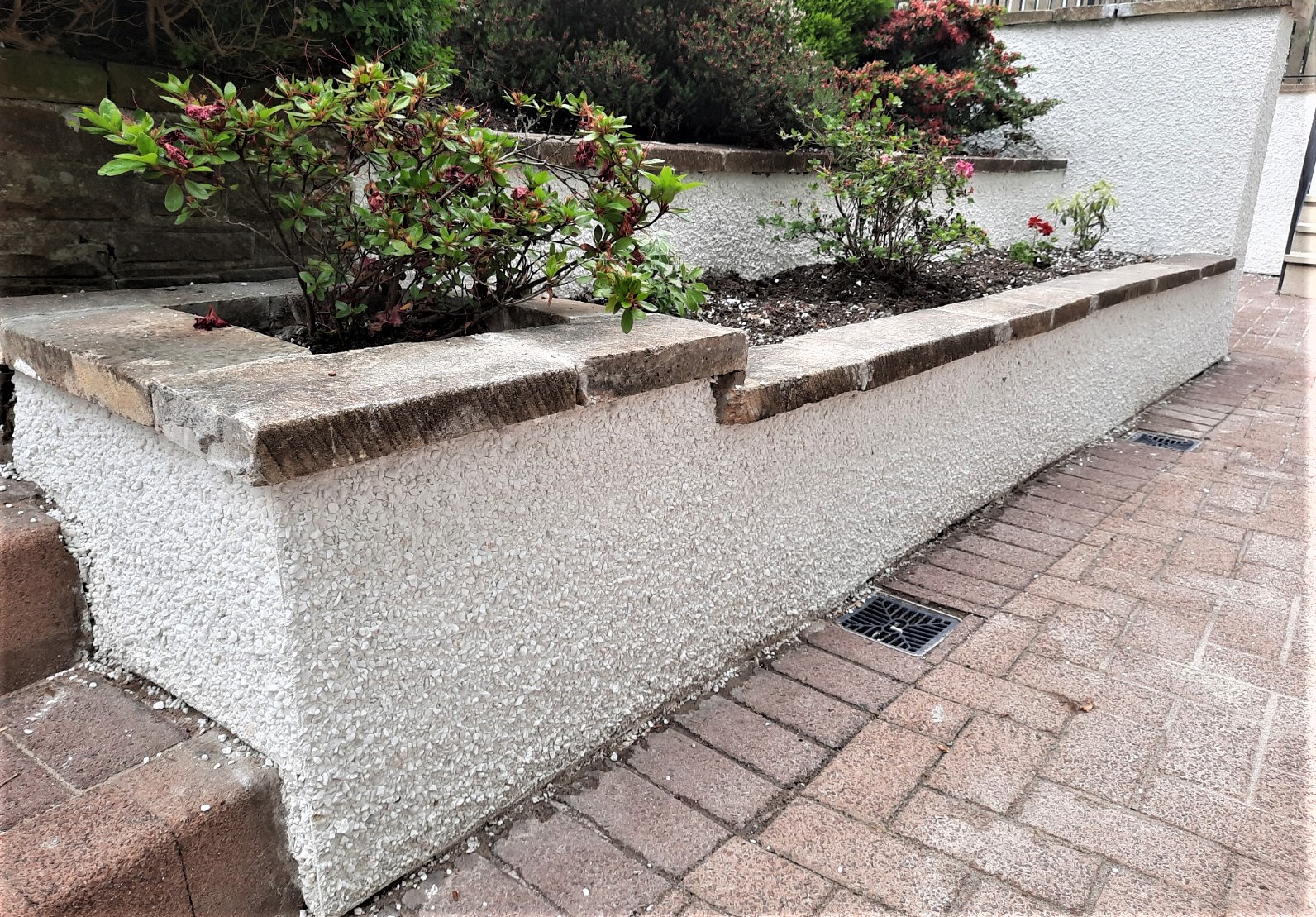 roughcast render Edinburgh on wall beside raised flower bed
