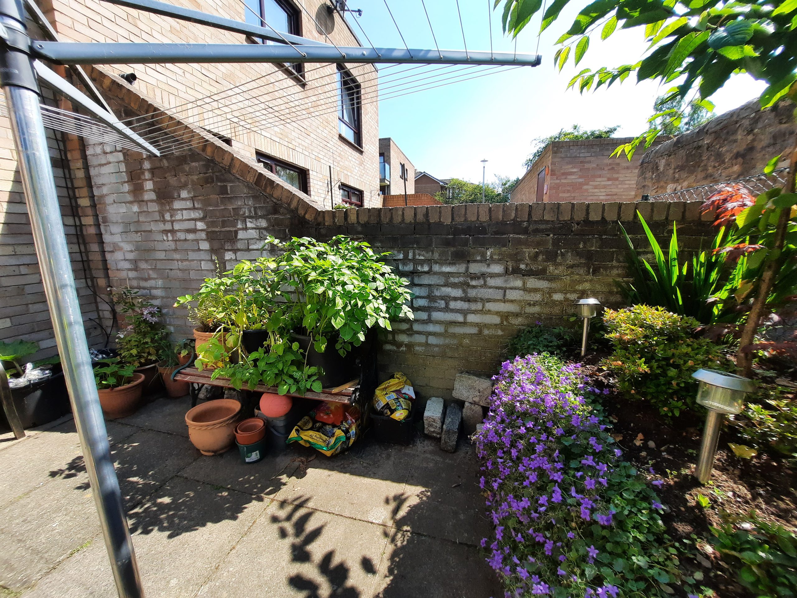 roughcast render Edinburgh on garden wall with potted plants and flowers