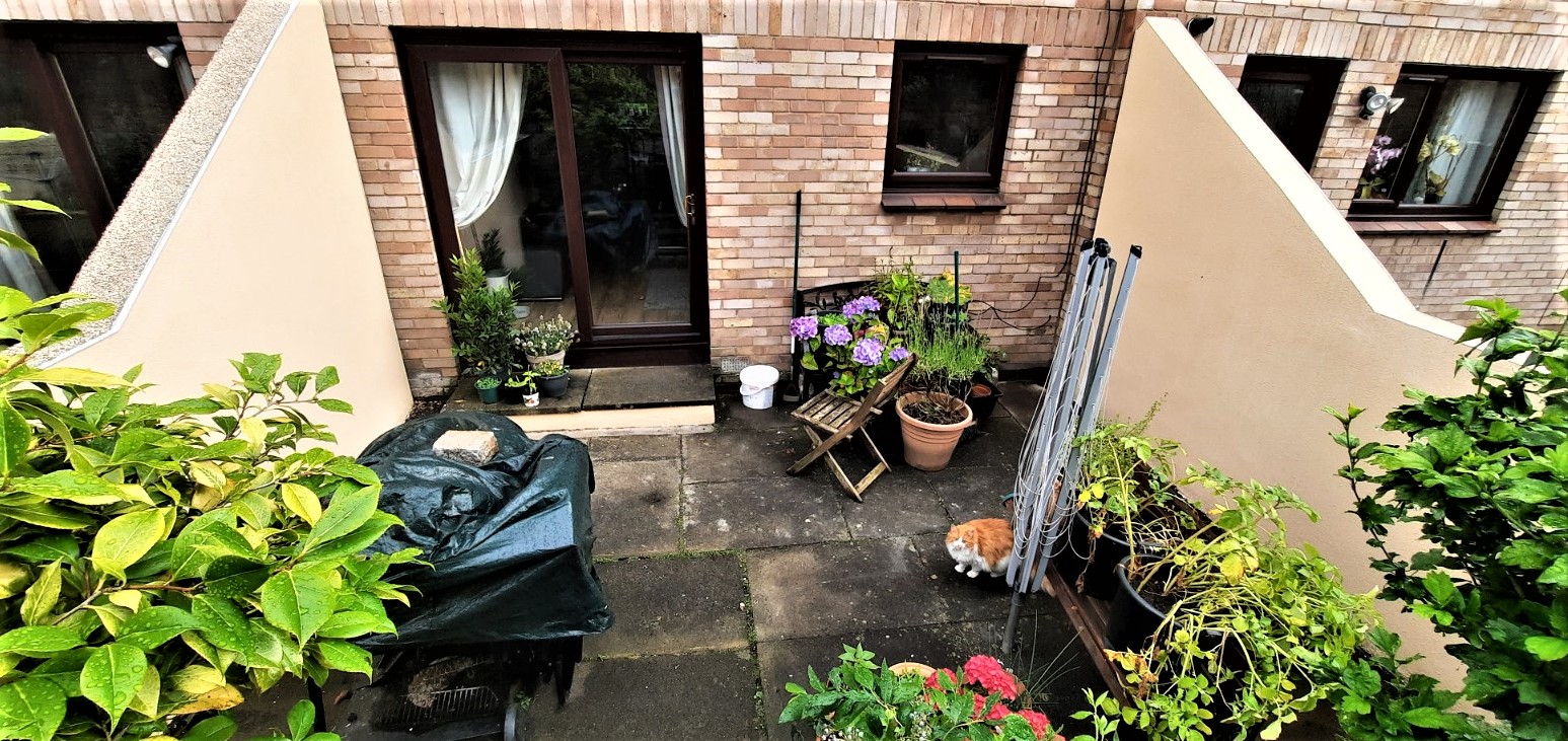 roughcaster Edinburgh working in small garden patio area