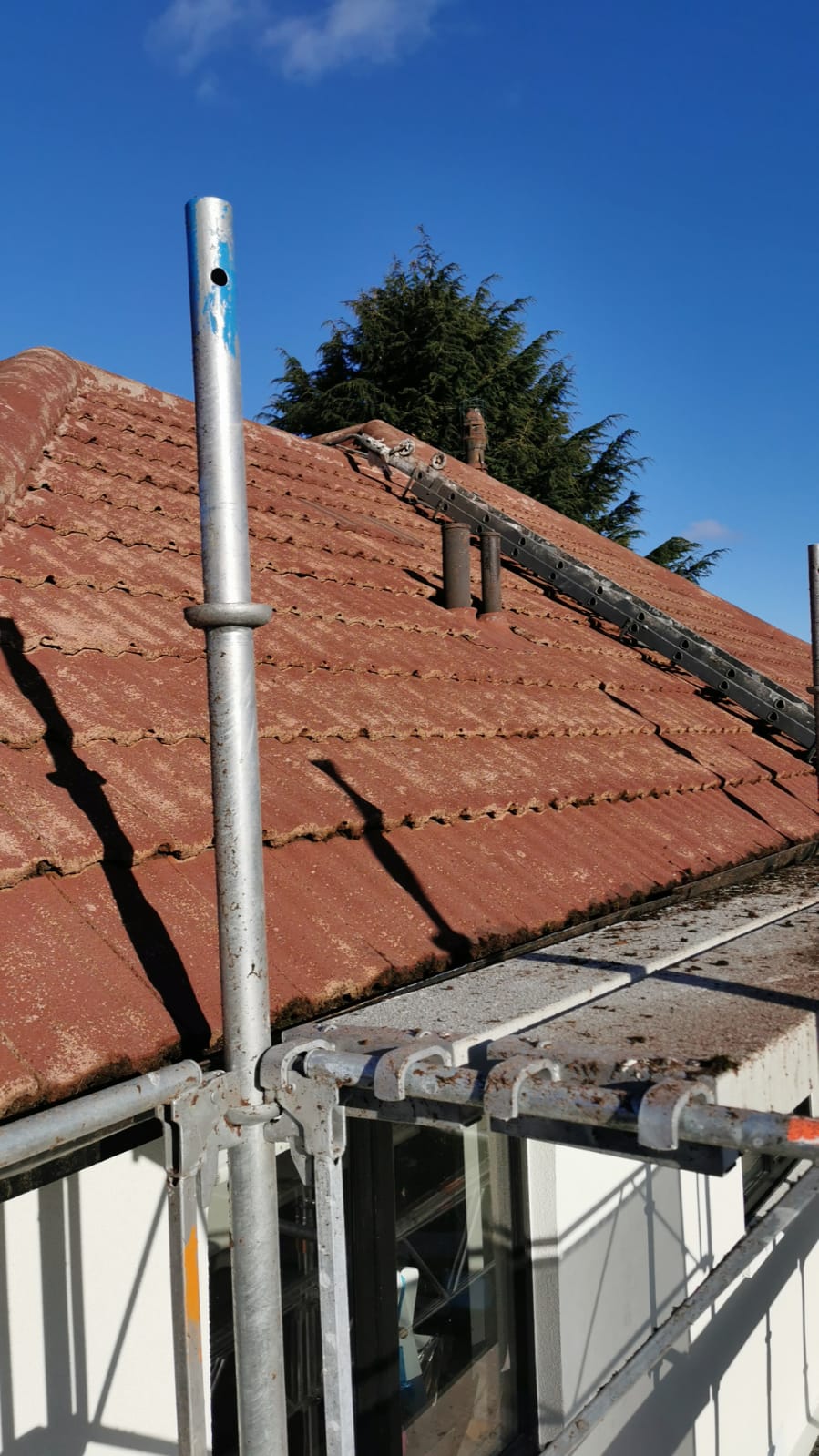 external wall insulation Edinburgh near moss-covered ridge tiles