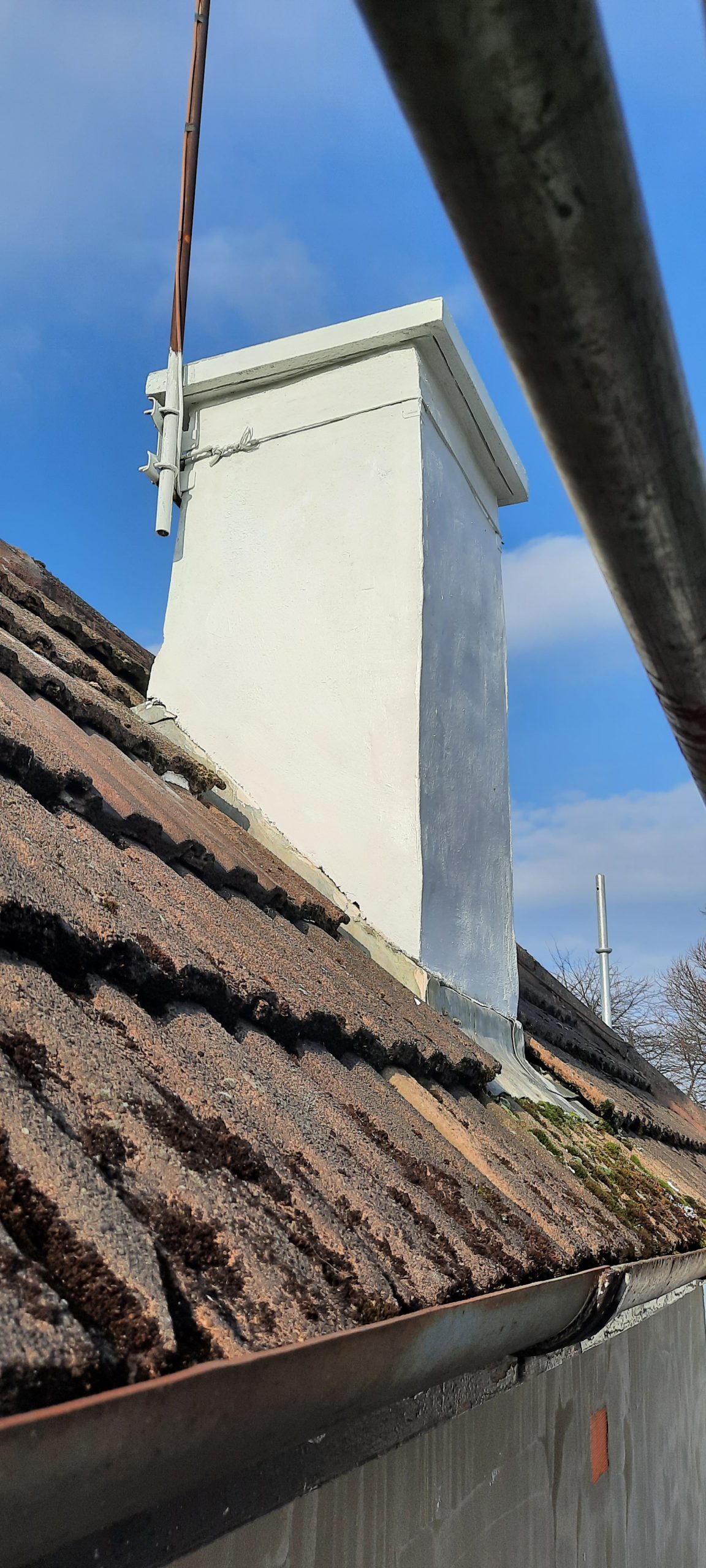 Rendering Edinburgh on upper storey above garden hedge