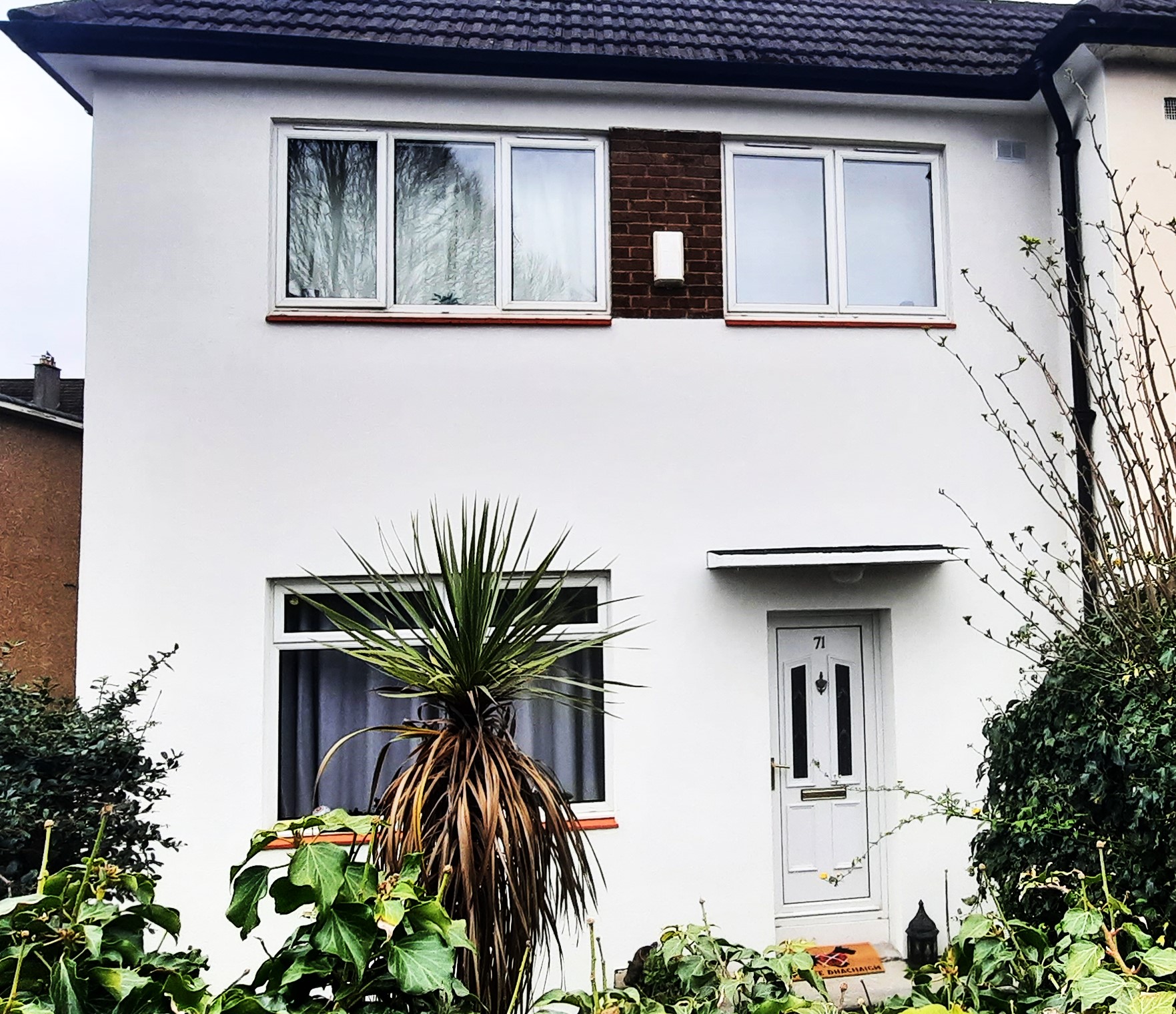 external wall insulation Edinburgh on freshly coated rear wall