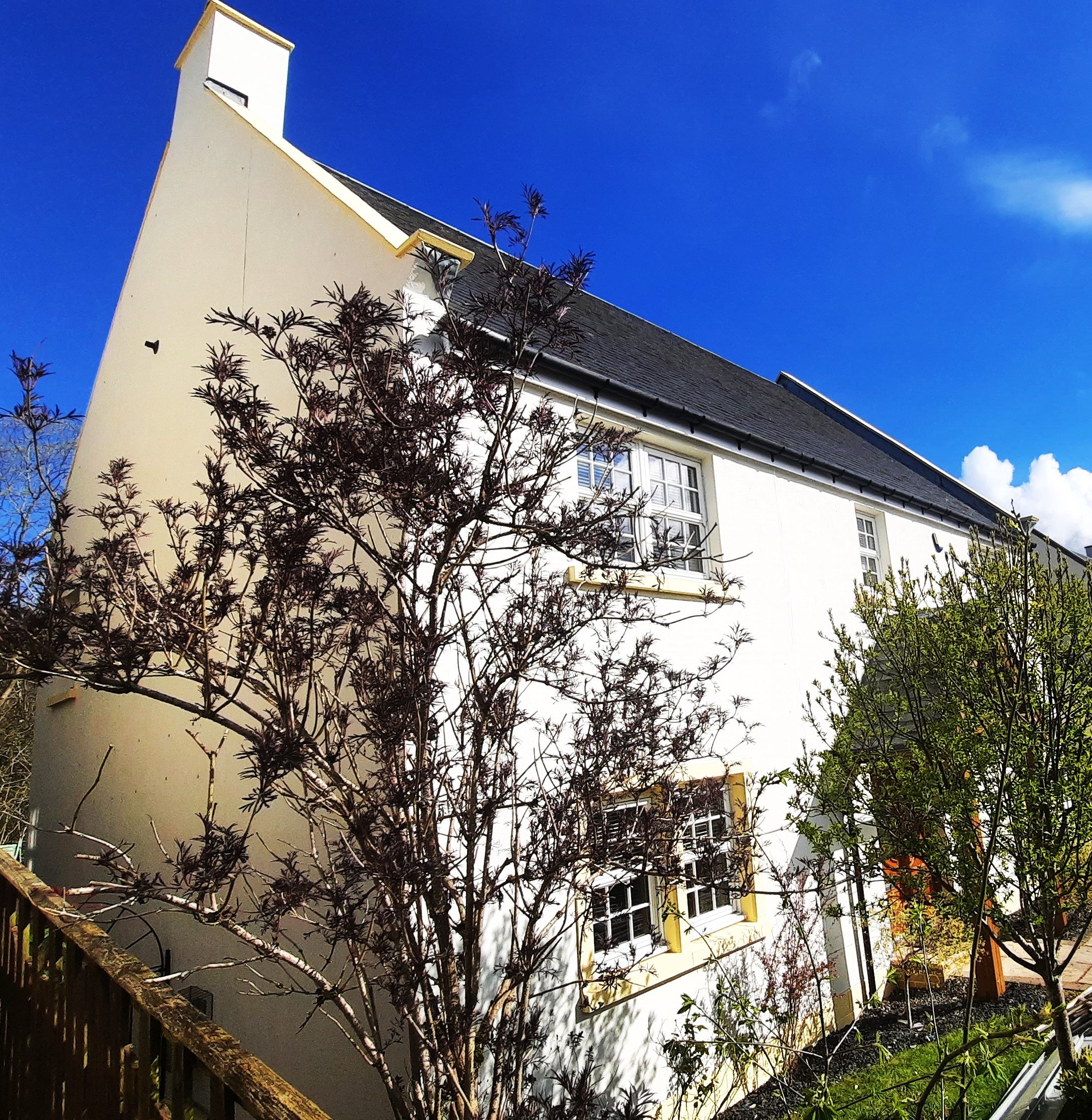 house rendering Edinburgh on bright two-storey home