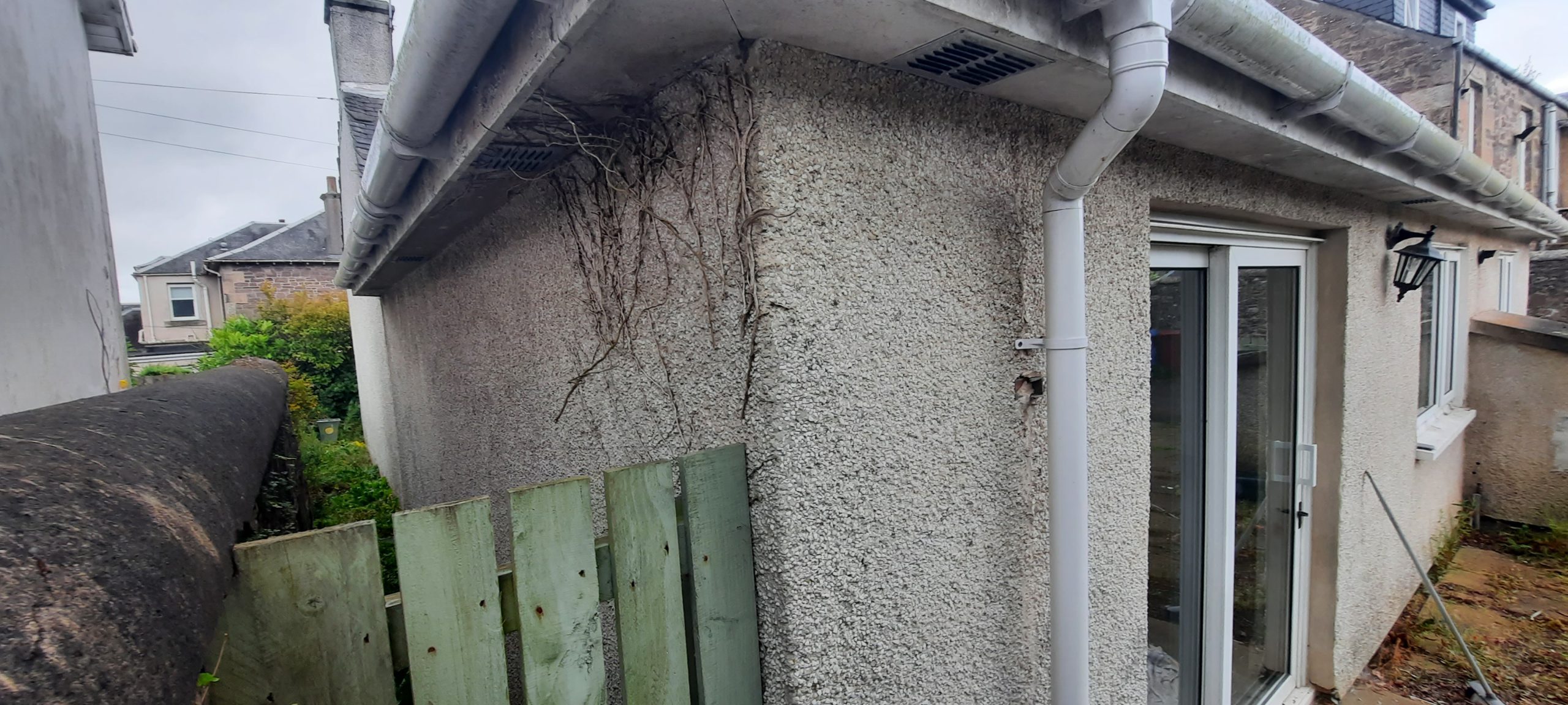 roughcast render Edinburgh on wall with climbing ivy remnants