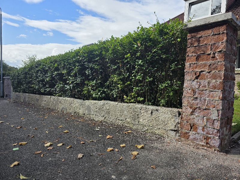 #Edinhome, #Rendering, #siliconerender